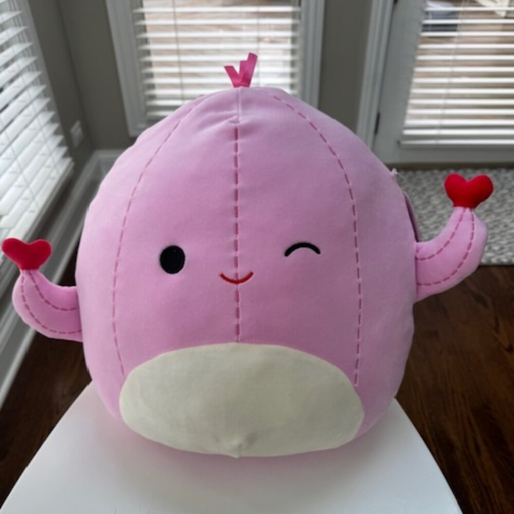 NWT 14-inch Cacey the Cactus Squishmallow